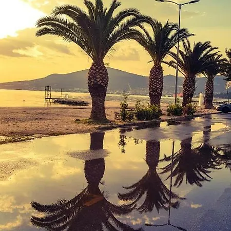 Apartmán Affabilis Vip House *